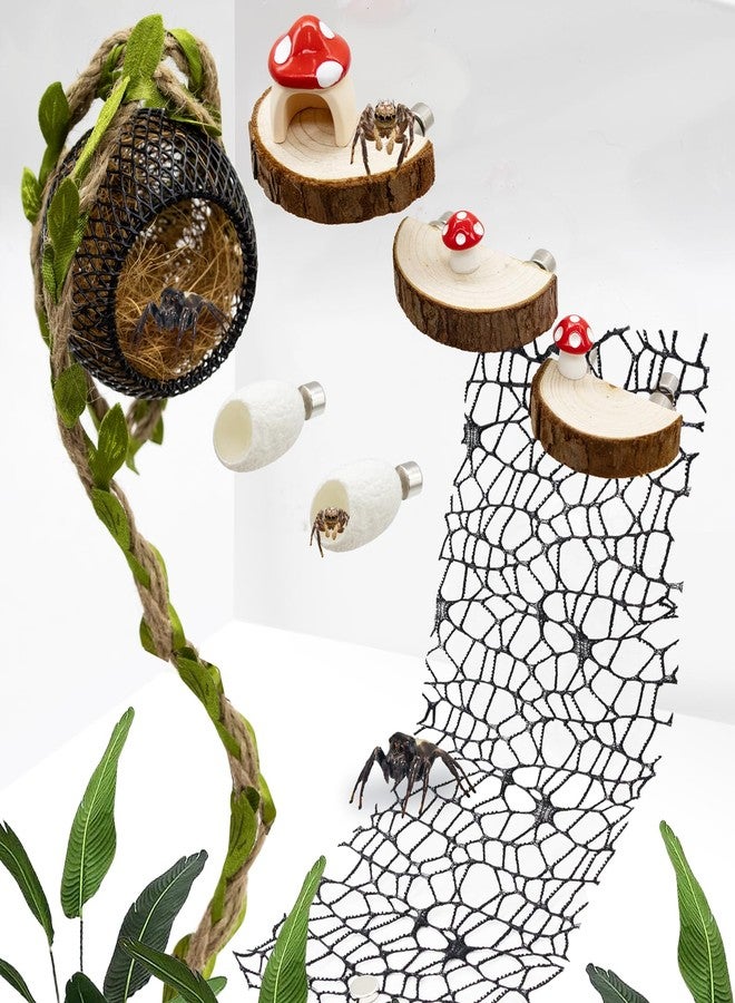 Niuohoy Jumping Spider Habitat Accessories Enclosure Habitat Accessories Jumping Spider Web Climbing and Feeding Platforms with Magnets for Small Insects Critters - Image 1